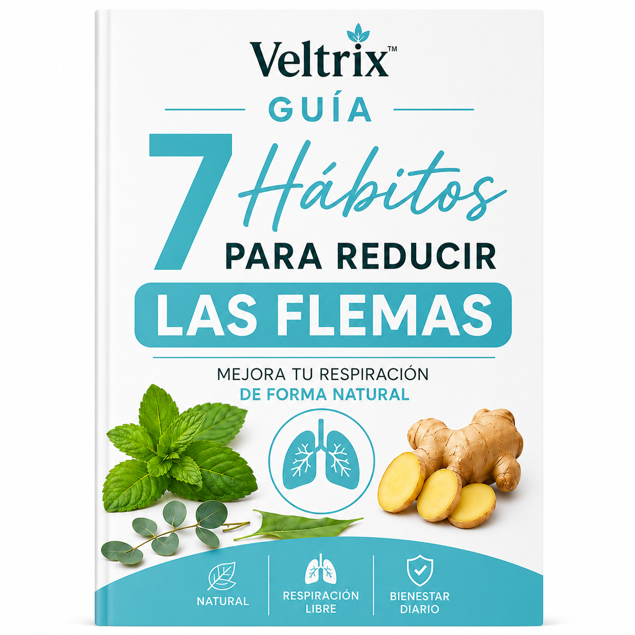 Guía Completa "7 Hábitos Para Reducir Las Flemas"
